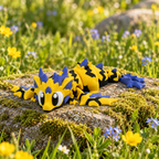 Mini-dragon Éclair Sauvage