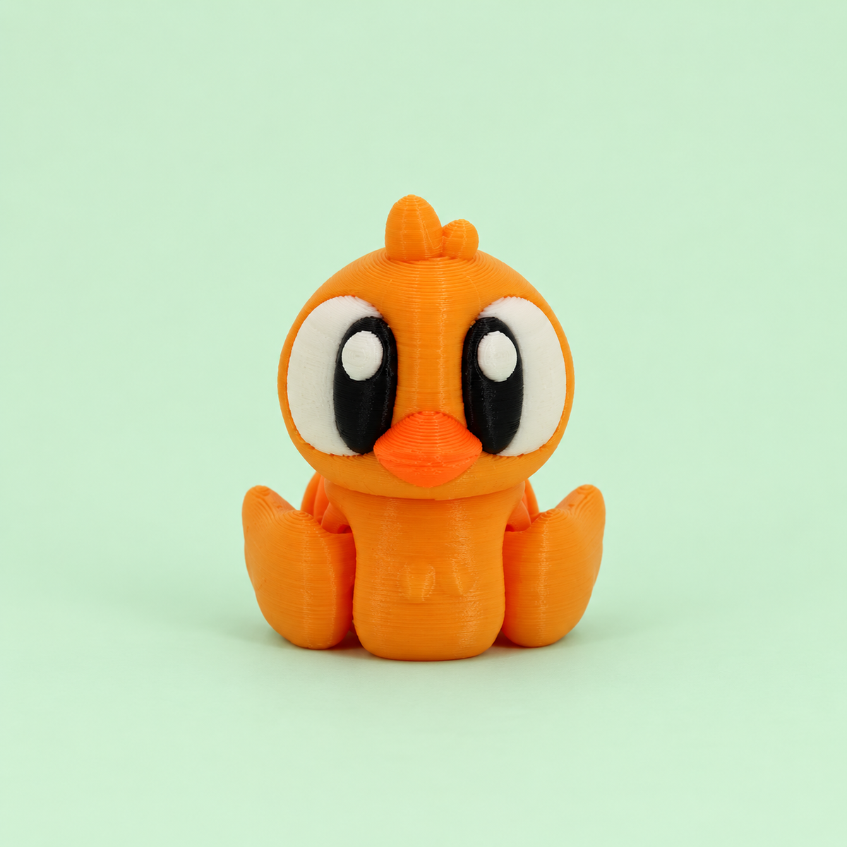 Duck