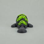 Manatee with seaweed