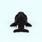 Orca
