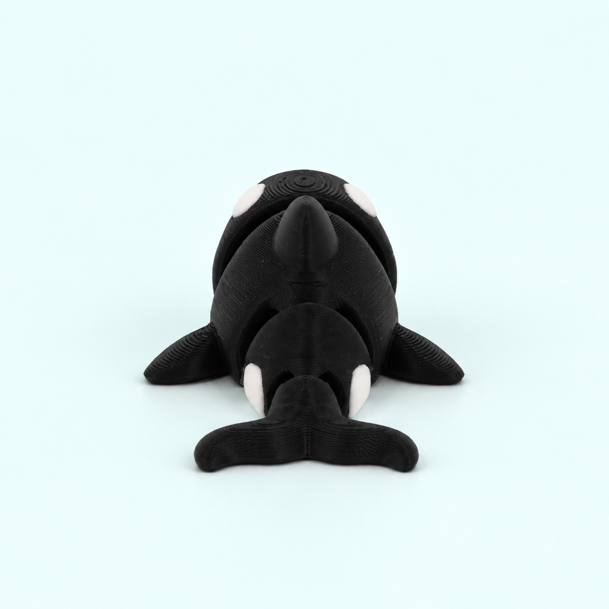 Orca