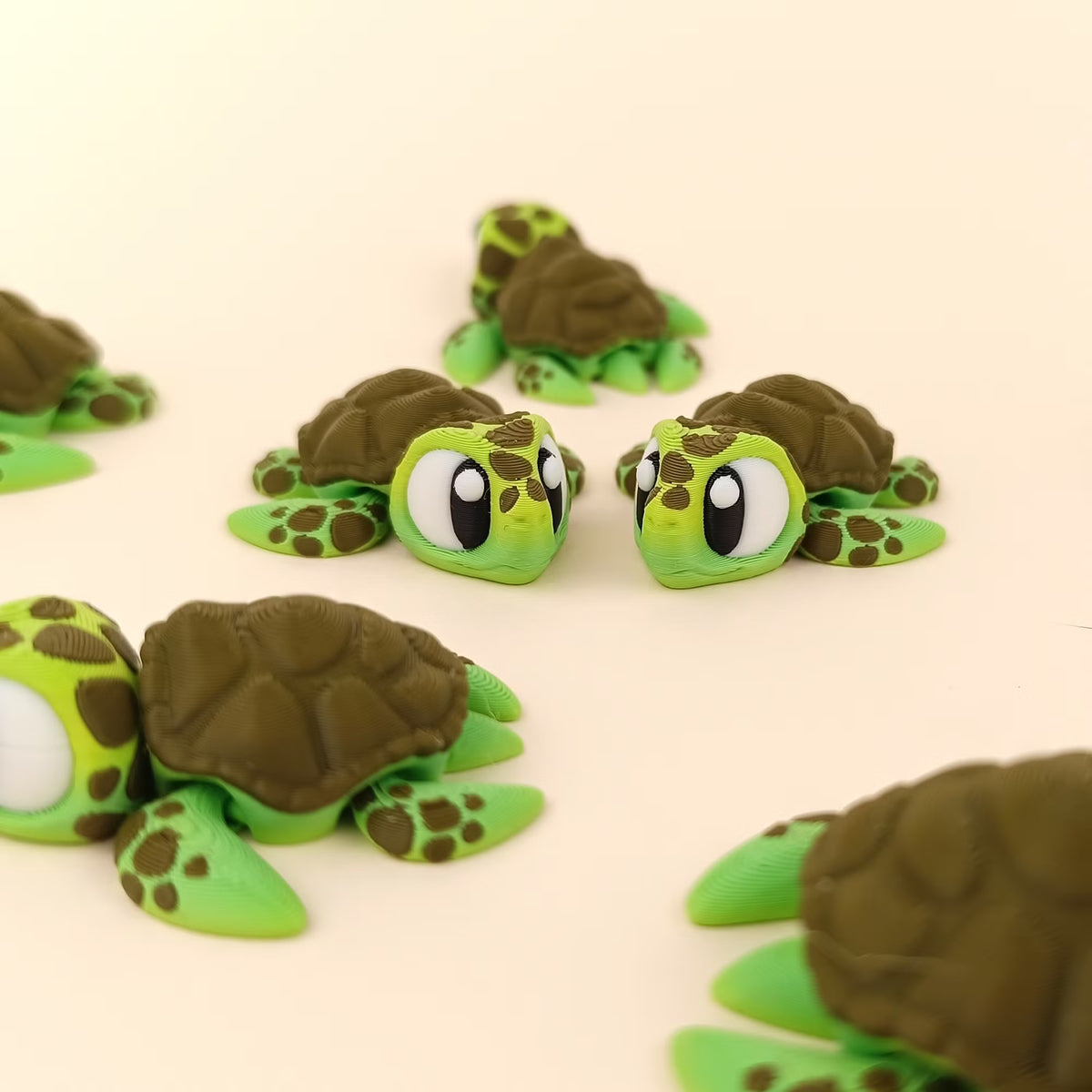 Tortue de Mer