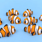 Clownfish